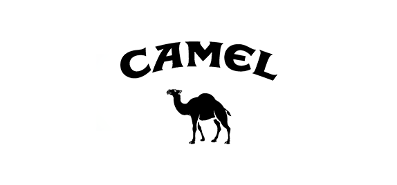 Camel